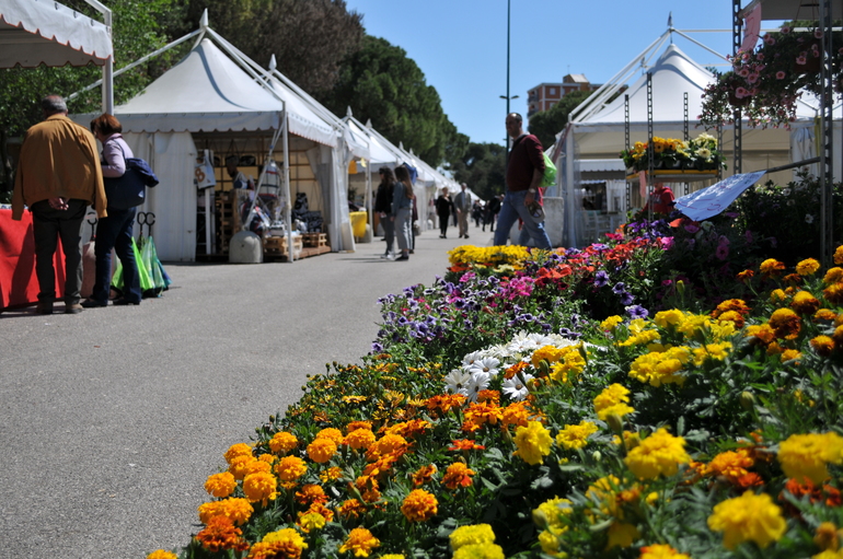 Lignano in Fiore