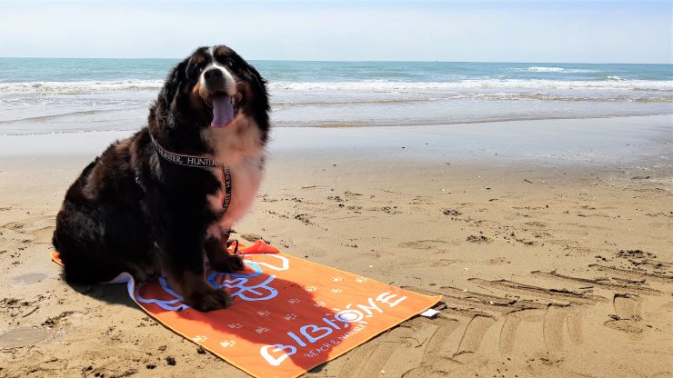 bau beach etg (15)