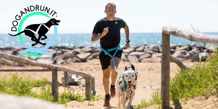 bibione-dog-run-2019-01-1