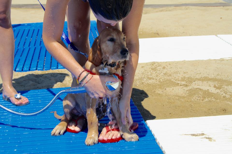 Servizi per cani spiaggia Lignano