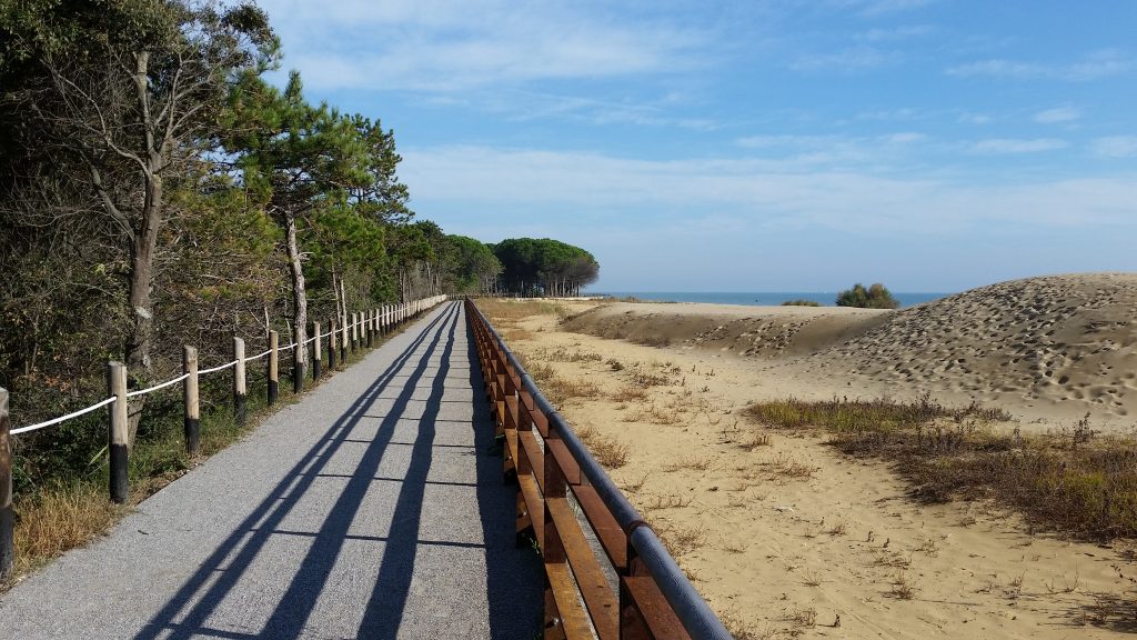 Passeggiata pineta Bibione