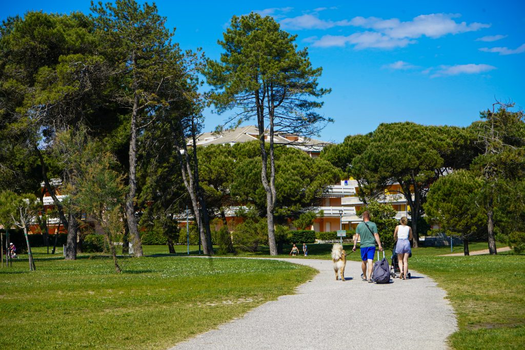Bibione passeggiata pineta