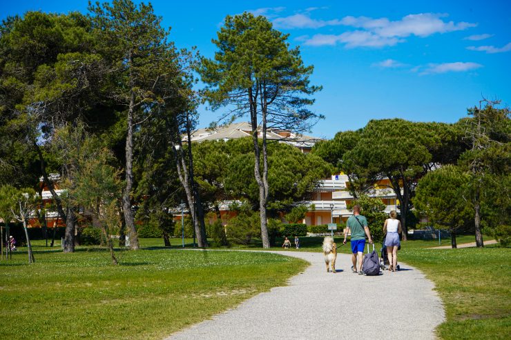 Bibione passeggiata pineta