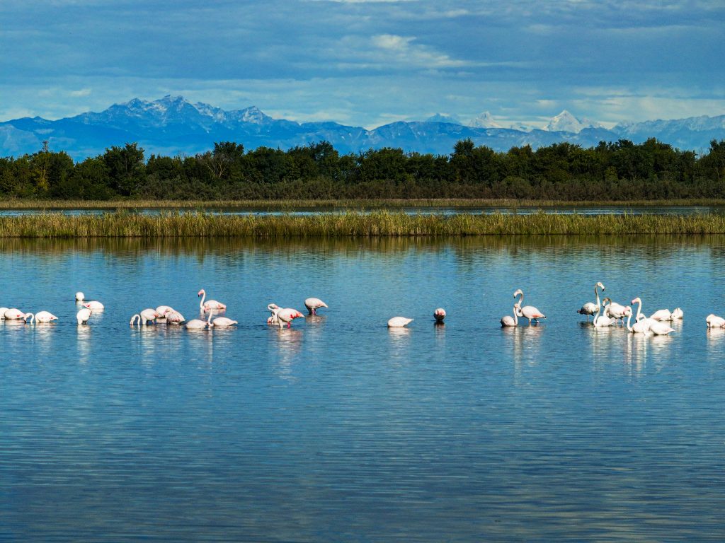 Oasi Val Grande Bibione natura e animali