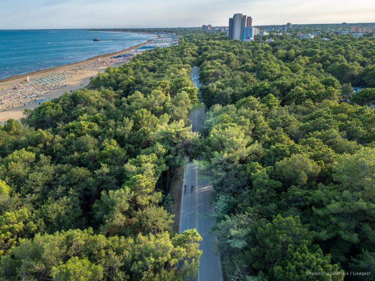 Percorsi pineta Lignano