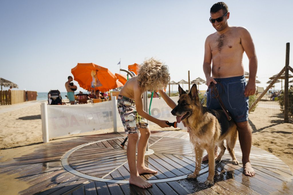 Servizi per cani in spiaggia