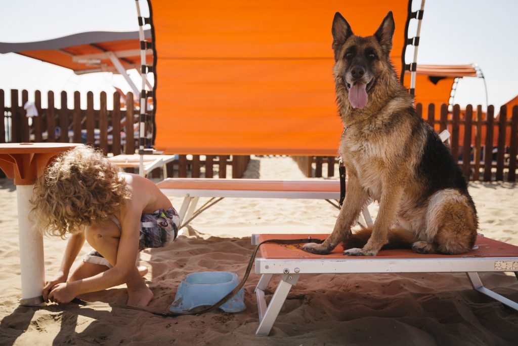 Spiaggia di Pluto brandine cane