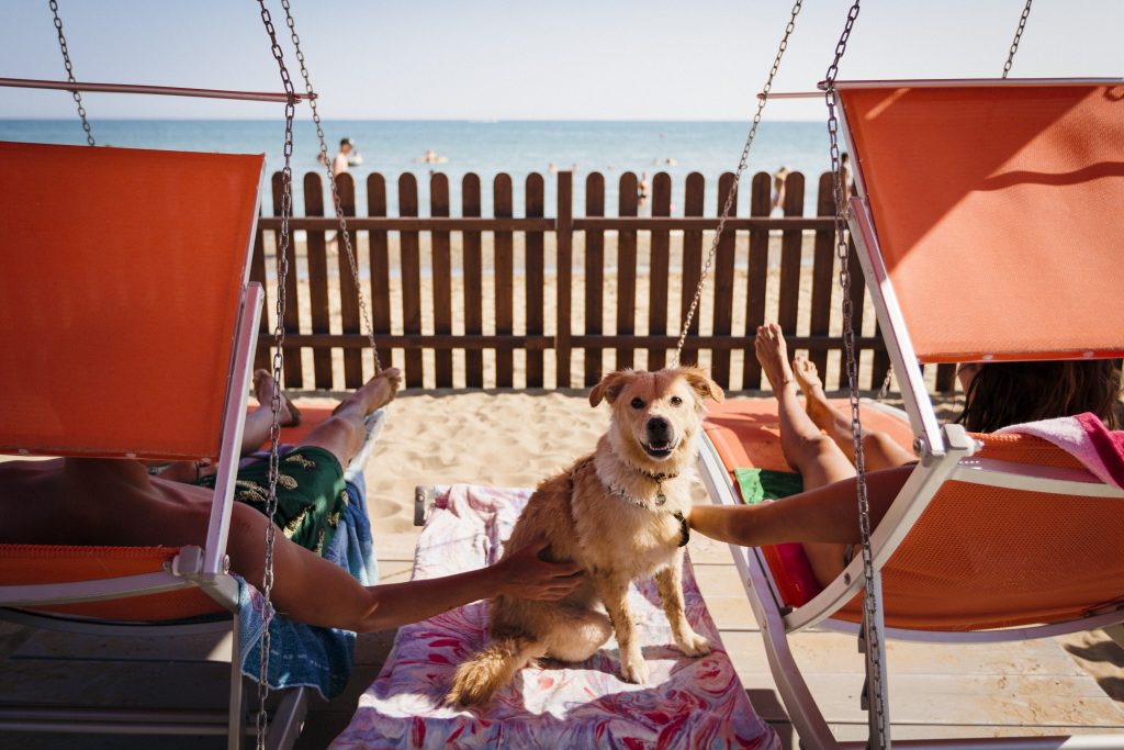 Letti e sdraie per cani Spiaggia di Pluto Bibione