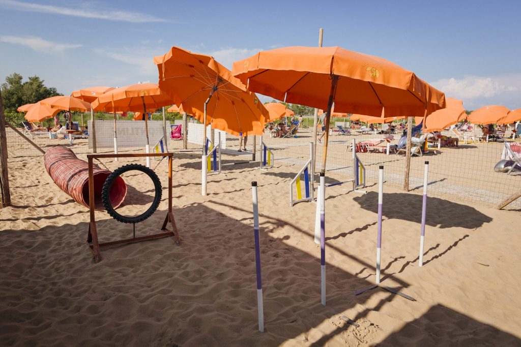 Spiaggia di Pluto percorso agility dog