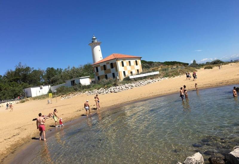 Faro