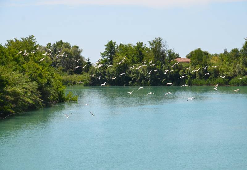 Escursione Emerald River